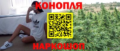 ГАЛЛЮЦИНОГЕННЫЕ ГРИБЫ Чебоксары