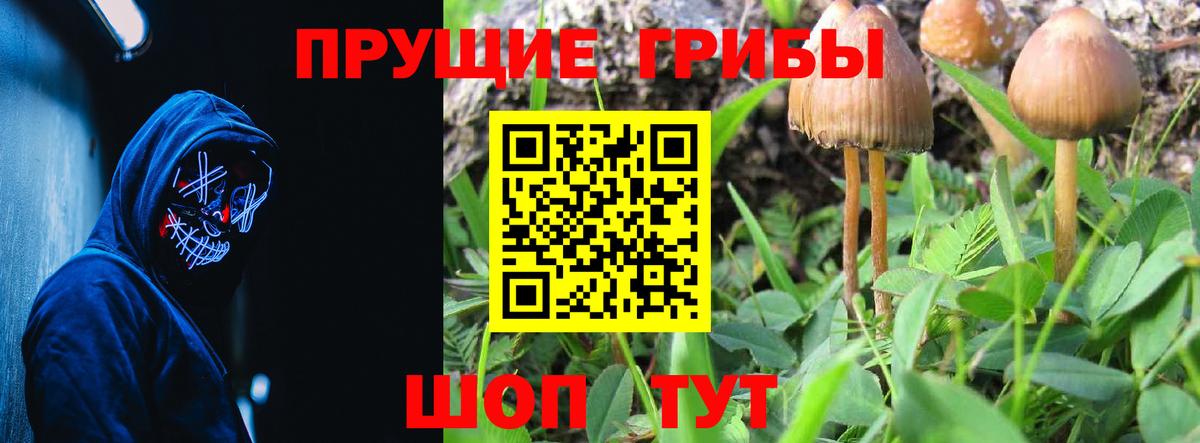 Галлюциногенные грибы Cubensis Кумертау